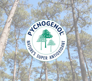 Aterosclerosis ¿Cómo combatirla? | Pycnogenol® y Centella Asiática